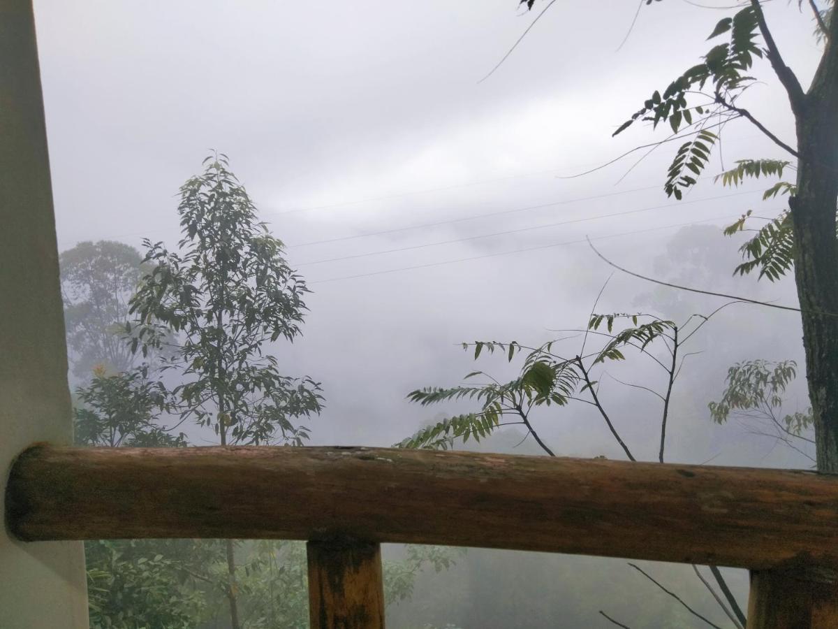 Nature Casa Bella Rom bilde